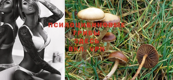 MDMA Premium VHQ Михайловск